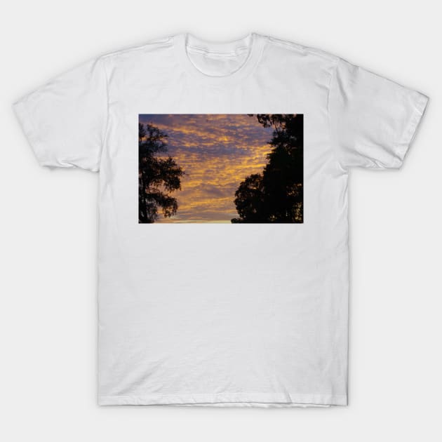 South Carolina Sunset T-Shirt by CreativelyRis